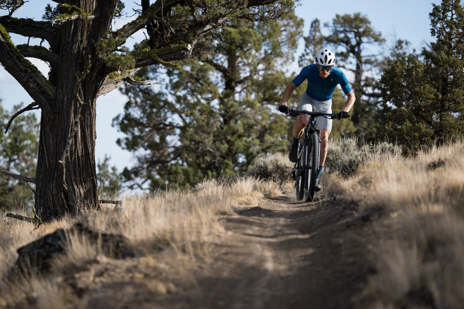 Giant Anthem 2026 v rychlém stoupání