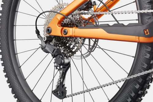Cannondale Moterra 4 Tiger Eye