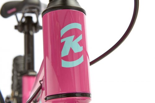 Kona Makena 20" (pink/blue)