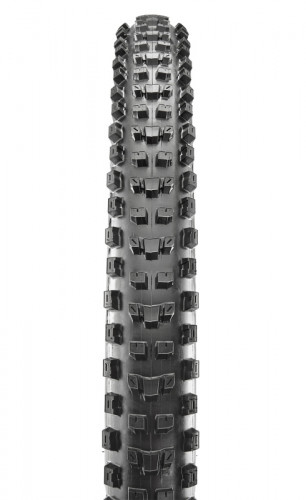 Maxxis Dissector EXO TR WT