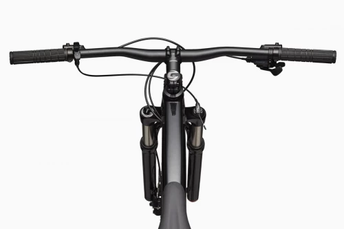 Cannondale Trail SL 4 (grey)