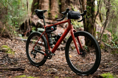 Santa Cruz Stigmata 4 CC Apex (brick red)