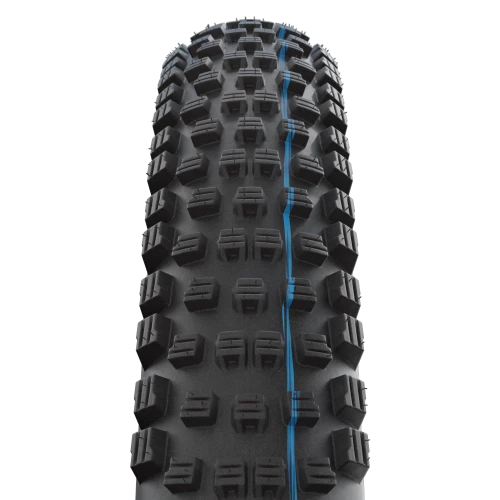 Schwalbe Wicked Will Evolution Super Ground Speedgrip Bronze