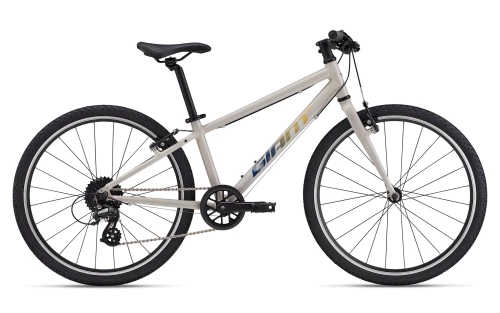 Giant ARX 24"