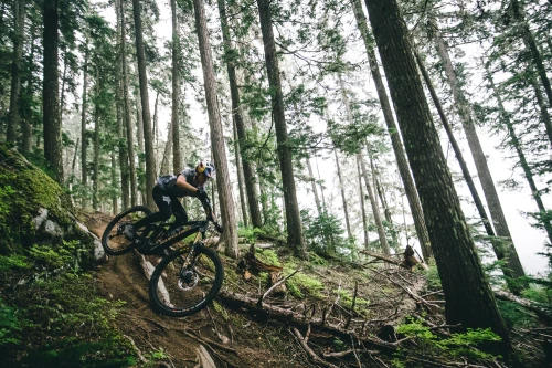 Santa Cruz Vala 1 Carbon C S Kit (midnight green)