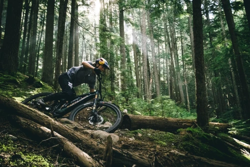 Santa Cruz Vala 1 Carbon C S Kit (midnight green)