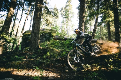Santa Cruz Vala 1 Carbon C S Kit (midnight green)