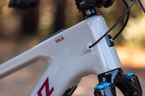 Santa Cruz Vala 1 Carbon C GX AXS Kit (gloss grey)