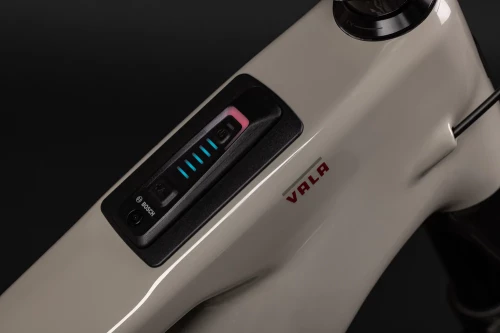 Santa Cruz Vala 1 Carbon C GX AXS Kit (gloss grey)