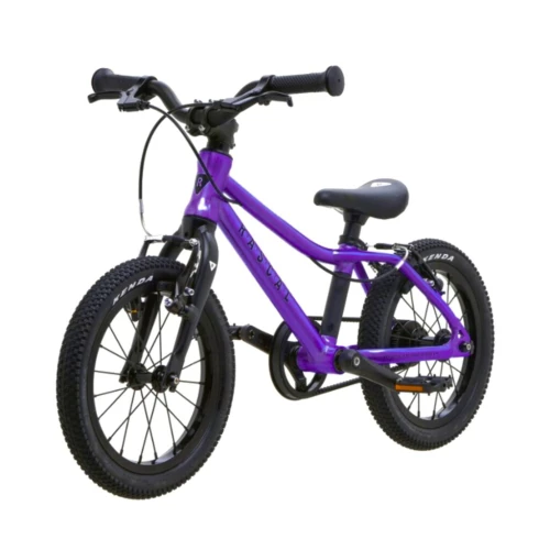 Rascal 14