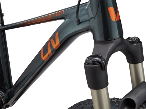 Liv Tempt 29 0