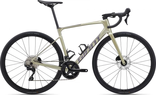 Giant Defy Advanced 2 (bay leaf)