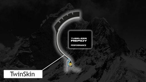 Schwalbe Nobby Nic Performance Addix TwinSkin