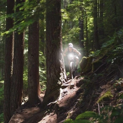 Blackburn Dayblazer 1500 USB-C