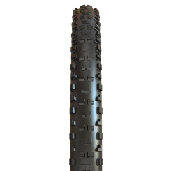Maxxis Minion DHR II 3G DH TR