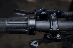 Giant Anthem Advanced SL 2