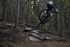 Giant Anthem Advanced SL 2