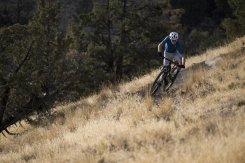 Giant Anthem Advanced SL 2