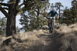 Giant Anthem Advanced SL 3 Carbon/Moon Dust