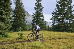 Giant Talon 29 2 Asphalt Green