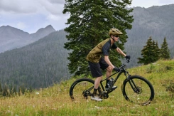 Giant Talon 29 3 Frost Silver