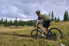 Giant Talon 29 3 Frost Silver