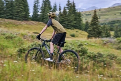 Giant Talon 29 3 Frost Silver