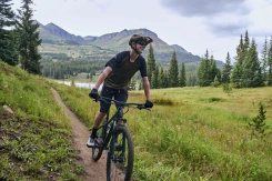 Giant Talon 29 3 Frost Silver