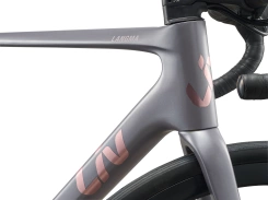 Liv Langma Advanced 2 QOM Native Grey