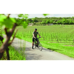 Selle Royal Explora Relaxed