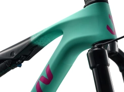 Liv Pique Advanced SL 1