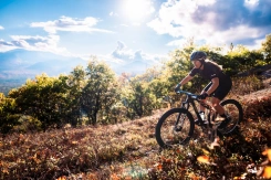 Liv Pique Advanced SL 1