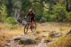 Liv Tempt 29 2 Mars Dust