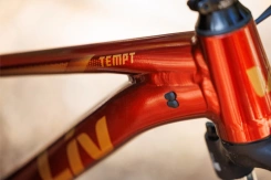 Liv Tempt 29 2 Mars Dust