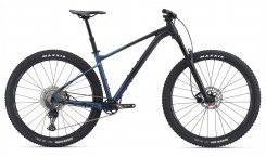 Giant Fathom 29 2 2021
