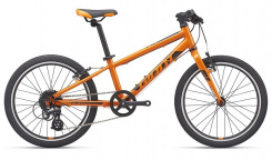 Giant ARX 20" 2020