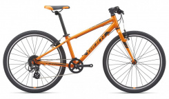 Giant ARX 24" 2020