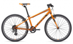 Giant ARX 24" 2021