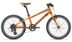 Giant ARX 20" 2021