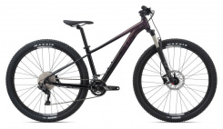 Liv Tempt 29 1 GE 2021