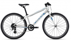 Giant ARX 24"
