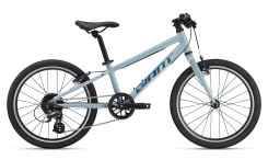 Giant ARX 20"