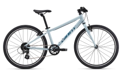 Giant ARX 24"