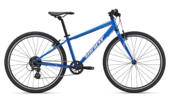 Giant ARX 26"
