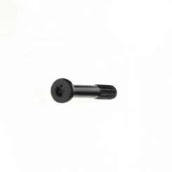 Bosch System Controller Adaptor Screw