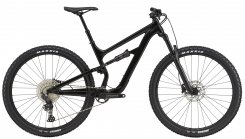 C-Dale Habit 5 21