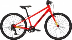 C-Dale Quick 24" Boys 20