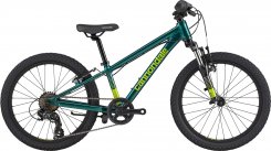C-Dale Trail 20" Boys 21