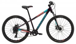 C-Dale Trail 24" Girls 19