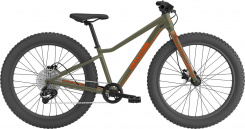 Cannondale Kids Trail Plus 24"